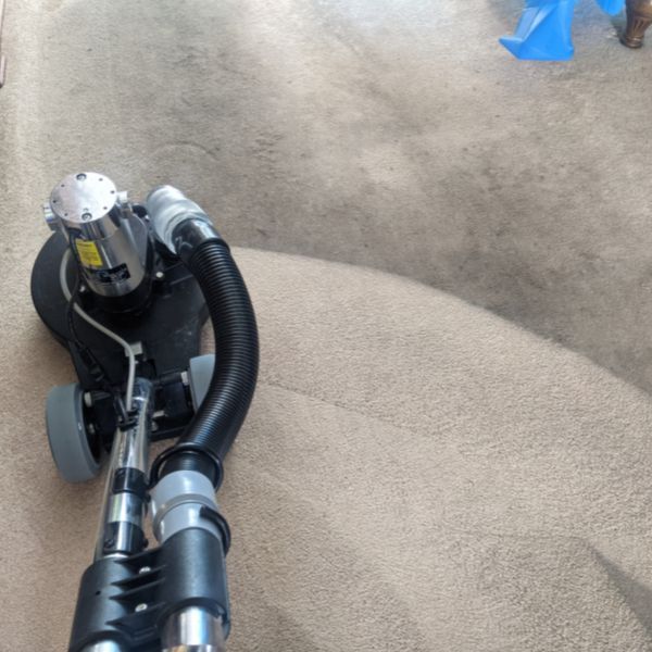 Carpet Cleaning in Fredericksburg VA