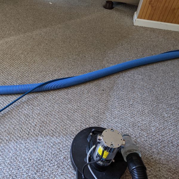 Commercial Carpet Cleaning in Fredericksburg VA