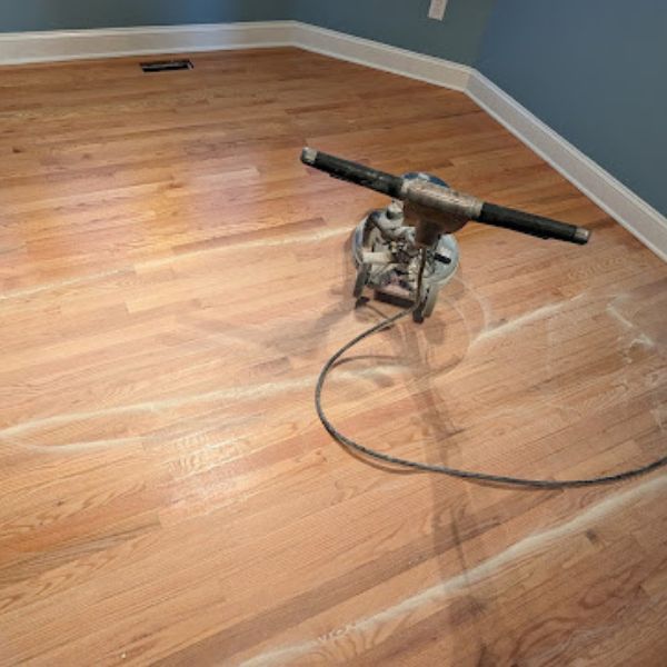 Pet Urine and Odor Removal in Fredericksburg VA